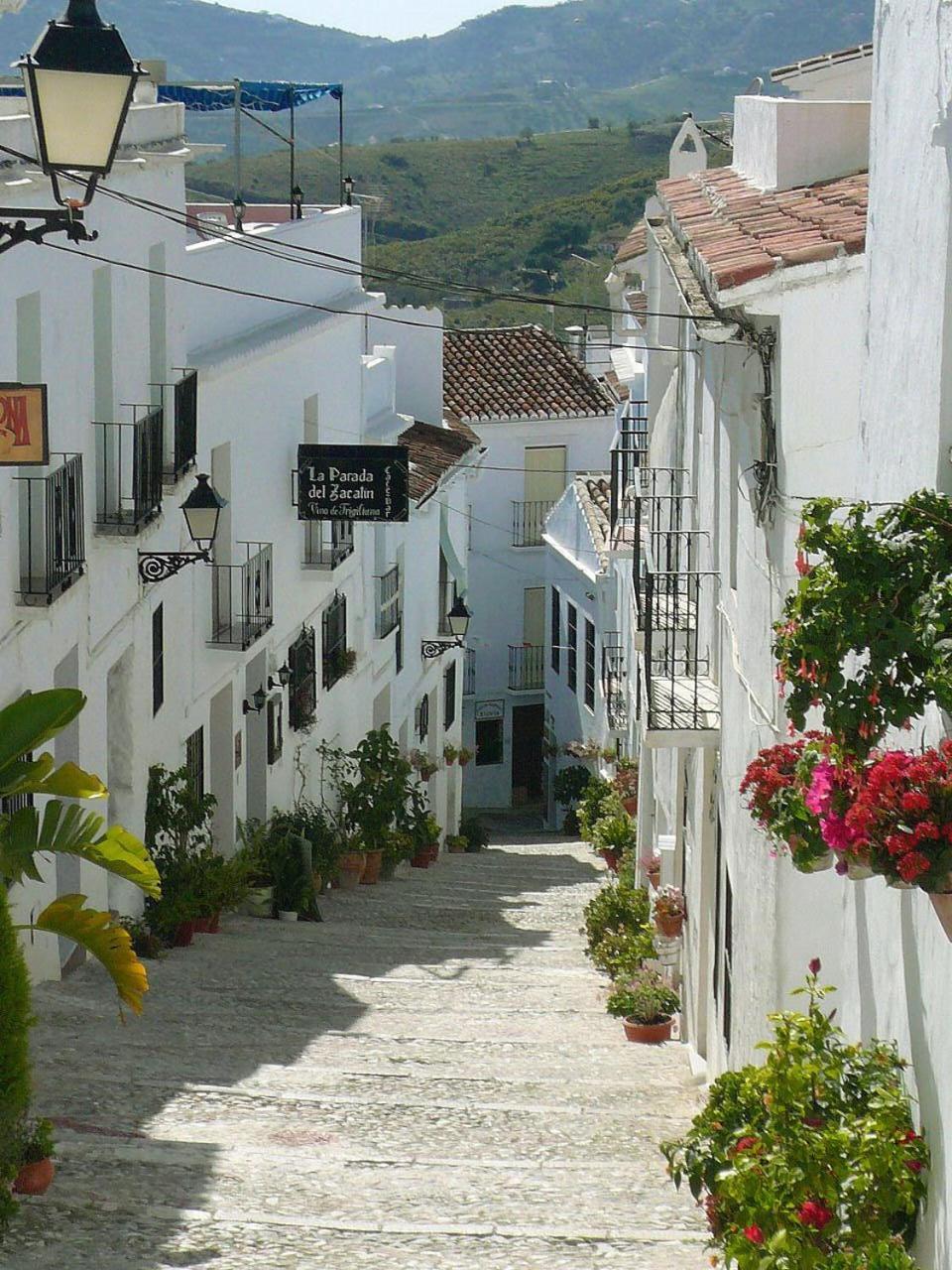 Hotel Rural Almazara 3*